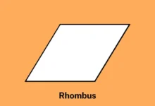 rhombus shape