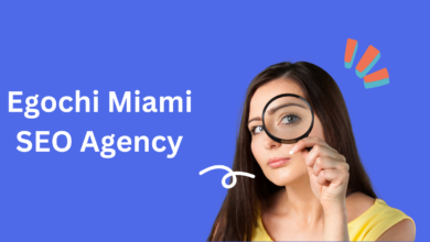 Egochi Miami SEO Agency