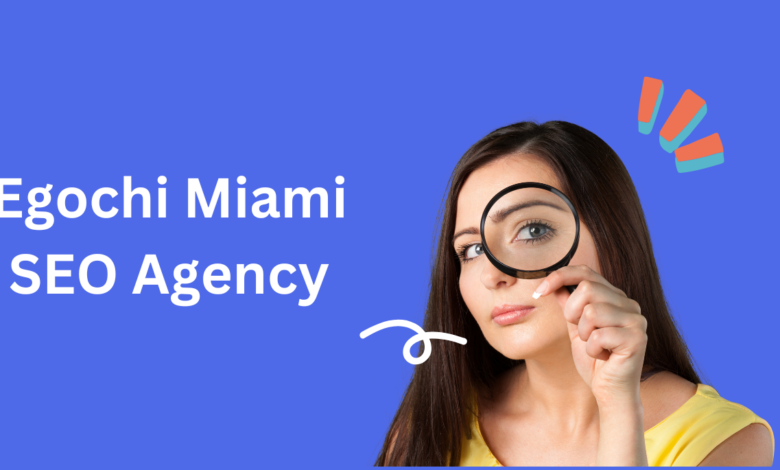 Egochi Miami SEO Agency